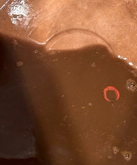 ����ˮ��Ҳ̫����