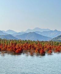 -2�棡�ո�ȷ�ϣ�����Ӱ��̨�ݣ�