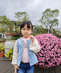 ̨��ֲ��԰��ͦ�ʺϴ�С����ȥ���ߵ�