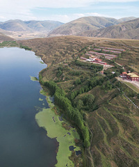 �ʰ�С����֮�ã���������������ӵ���û���