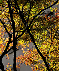 -5�棡���������ر�����̨����ĩ�䵽���ȵס�