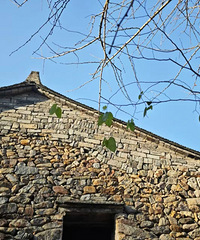 -5�棡���������ر�����̨����ĩ�䵽���ȵס�