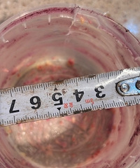 ��ô�㵰��Ҫ70