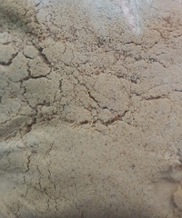 15��4��ĺ�����ʲô����