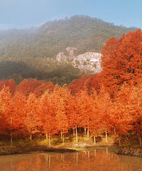 С֥������