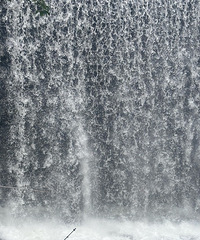 95��������Ů���ѣ�������ҵ��������������һ�׷�