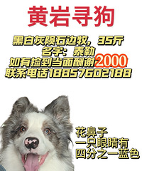 ����Ѱ��