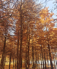 �����ψ������֣�������ĵ�