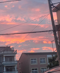 95���Ҷ��󣬴��µ�����ҵ��173����ѧ��