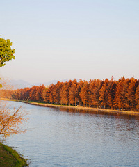 �ٺ����ܳ�û����ȥ����