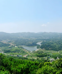 Ͷ��1.9��Ԫ���غ�50������ˮ������������̿���