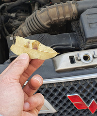 ż����������������������ڿ����ӳ���12_18������