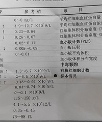 ŵ�粡���߷��������������˼�ʮ��С����