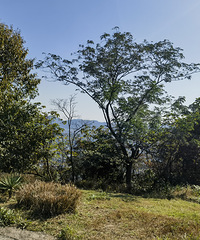 89���������������׷����޷���������λ�ϰ�