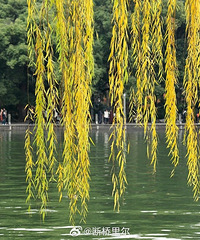 �㽭���10�����ϣ�2025��������������Ԥ��