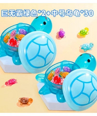 ��������ޡ���������Ȥ�£�Ӯ�޻��ǻ������ް��ڹ�������ľ