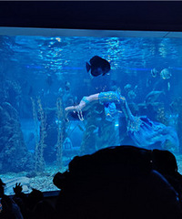 ȥ�������翴����