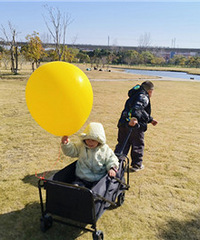 ����������ʽ��Ұ��¶Ӫ