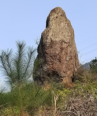 ���ɾӰ˾�֮ĥ����ѩ