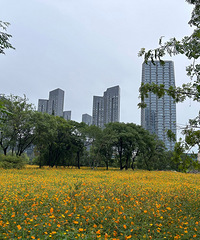 ��Ů���ּҲ�������û��