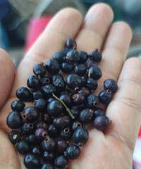 ���ʲô��Сʱ�򾭳���