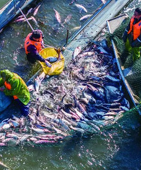 18800Ԫ��̨��һ���㱻���ߣ���30�