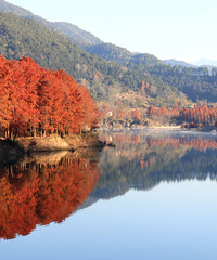 ��ɼ��ů���������������ů�Ļ���(С֥������)