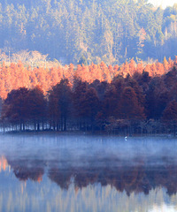 ��ɼ��ů���������������ů�Ļ���(С֥������)