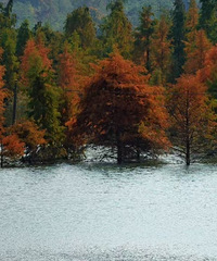 ���ȥ������������