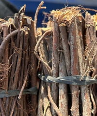 �ⶫ��������ʶ��