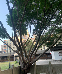 �������������ˣ����޵���ѵ�ζ�ͣ��