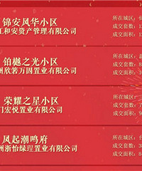 2024��12�·�סլ�ɽ����а�