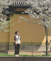 ��2024�����ܽ᡿������ϸ����ֹ���һ����