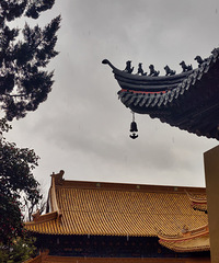 ��2024�����ܽ᡿������ϸ����ֹ���һ����