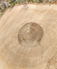 ����һ���̻������˿����ջ�����