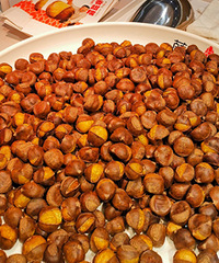 �������Ĳ���