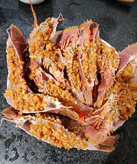 ���ط�˿����Ϻ