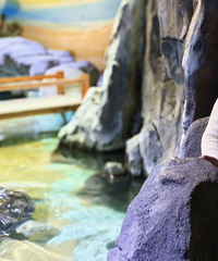 ���ǵ�ѡ��-Ԫ����ȥ����ݣ������˼��ˣ�ʵ����̫����