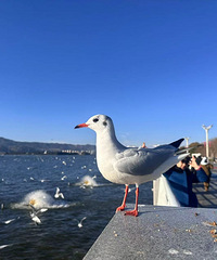 ��2025�μǡ�����֮�ϣ�����֮��