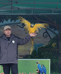 2025μą̇̄Ұ԰꿨ȥβ