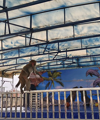 2025μą̇̄Ұ԰꿨ȥβ