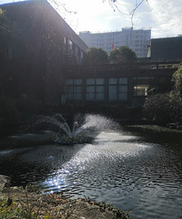 �꽫���������