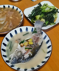 ���ƿ����