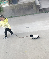 �����й�����