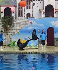 �������ƵĹ亣���