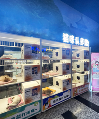 ���裡��������������󰵲ء�è������·