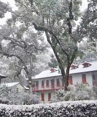 ̨��Ҫ��ѩ�ˣ���������