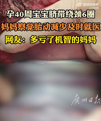 ���ң�̥������ƾ�6Ȧ�����輰ʱ���