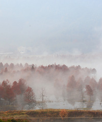 ̨�� ���ɴ������ͺ��