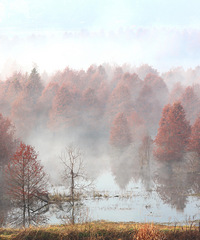 ̨�� ���ɴ������ͺ��